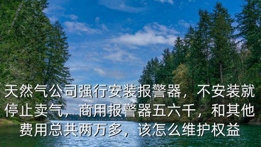 深圳安裝天然氣報警器多少錢一個,天然氣公司強行安裝報警器