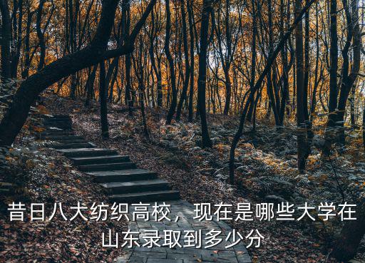 昔日八大紡織高校，現(xiàn)在是哪些大學(xué)在山東錄取到多少分