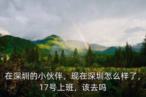 在深圳的小伙伴，現(xiàn)在深圳怎么樣了，17號上班，該去嗎