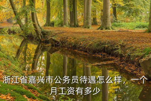 浙江嘉興市的輔警工資每月多少啊,大專(zhuān)輔警一般工資多少