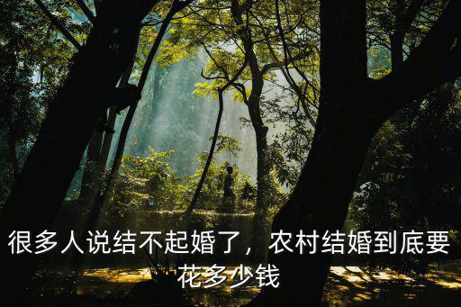 很多人說結(jié)不起婚了，農(nóng)村結(jié)婚到底要花多少錢