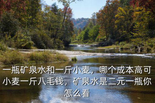 一瓶礦泉水和一斤小麥，哪個(gè)成本高可小麥一斤八毛錢(qián)，礦泉水是二元一瓶你怎么看