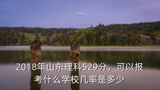 2018年山東理科529分，可以報(bào)考什么學(xué)校幾率是多少