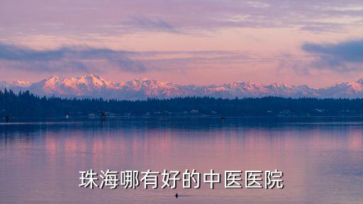 珠海哪有好的中醫醫院