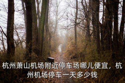 杭州蕭山機場附近停車場哪兒便宜，杭州機場停車一天多少錢