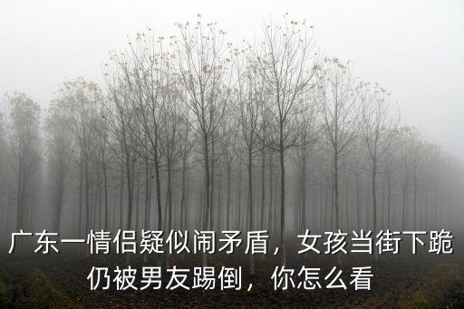 廣東男子當街撲倒女孩最后怎么樣了,女孩當街下跪仍被男友踢倒