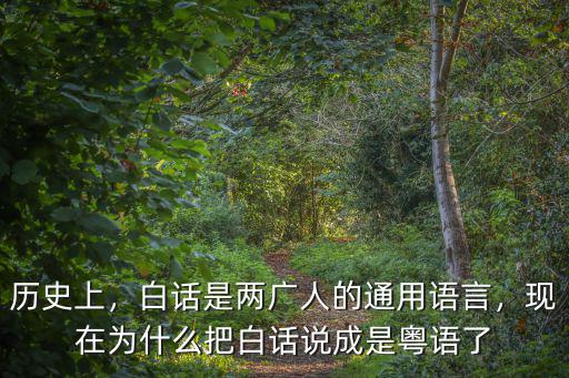 歷史上，白話是兩廣人的通用語言，現在為什么把白話說成是粵語了