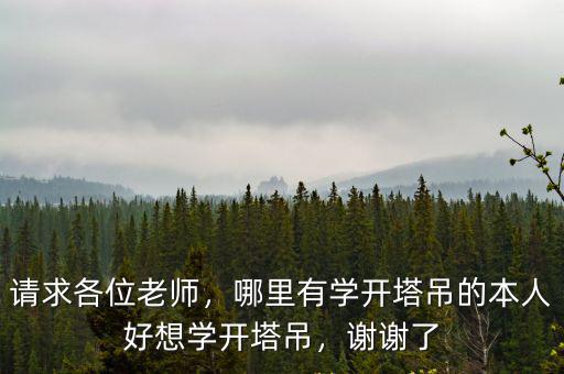 珠海哪里可以學塔吊,想學開塔吊應(yīng)該去哪里學