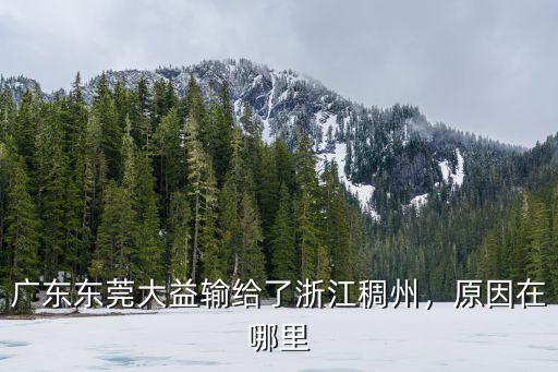 廣東東莞大益隊3號胡明軒哪里人,廣東東莞大益