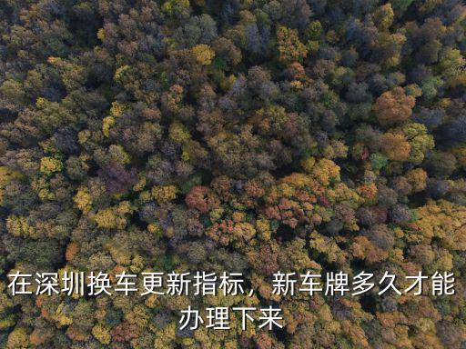 在深圳換車更新指標，新車牌多久才能辦理下來