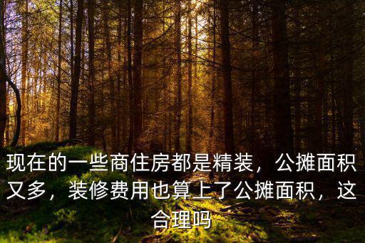 現(xiàn)在的一些商住房都是精裝，公攤面積又多，裝修費(fèi)用也算上了公攤面積，這合理嗎
