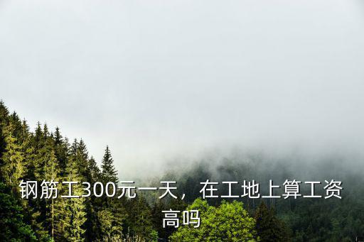 山東省壽光鋼筋工工資多少錢一天,鋼筋工300元一天
