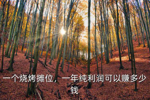 煙臺(tái)燒烤一串利潤(rùn)多少,一個(gè)燒烤攤位