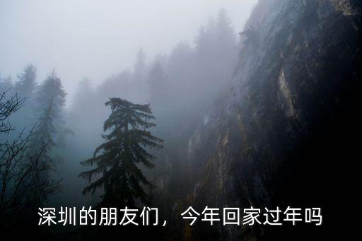 深圳的朋友們，今年回家過年嗎