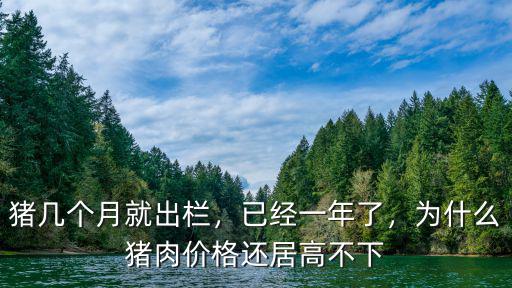 豬幾個月就出欄，已經一年了，為什么豬肉價格還居高不下