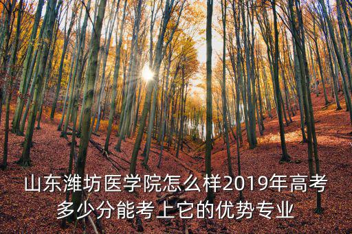 山東濰坊醫(yī)學(xué)院怎么樣2019年高考多少分能考上它的優(yōu)勢專業(yè)