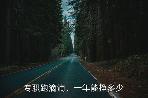 杭州跑滴滴一天可以賺多少錢,用來跑滴滴怎么樣