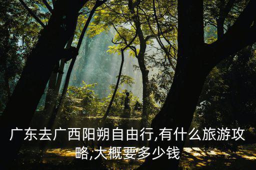 廣州旅游要用多少錢一輛,廣州自駕游川藏線需要多少錢