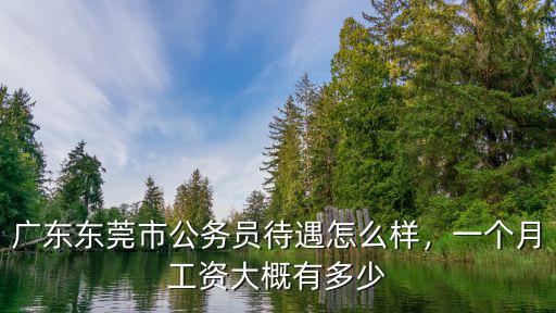 廣東網警工資多少錢一個月,廣東東莞市公務員待遇怎么樣