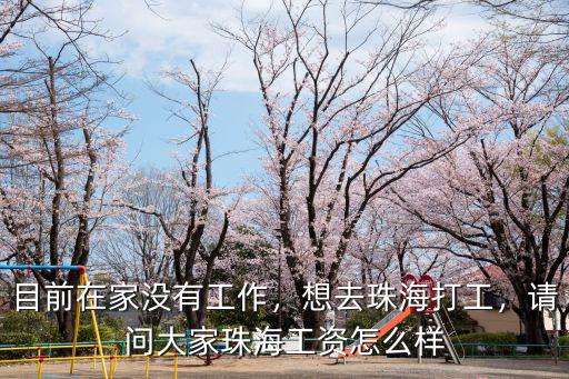 珠海西婷怎么樣,珠海發展潛力怎么樣