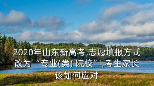 2020年山東新高考,志愿填報方式改為“專業(類) 院校”,考生家長該如何應對