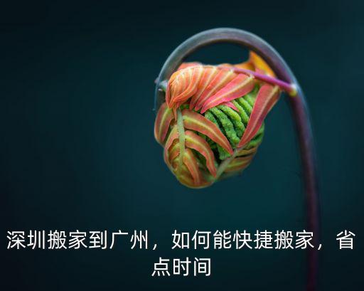汝城到深圳搬家怎么搞,深圳搬家到廣州