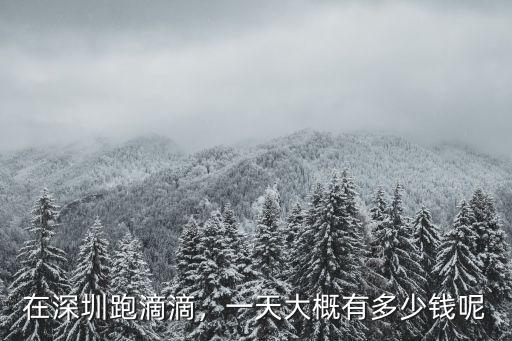 滴滴繞深圳一圈要多少錢,在深圳跑滴滴