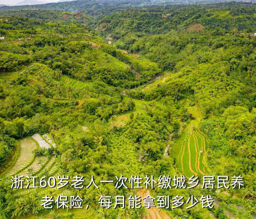 浙江農民每月補繳多少錢,農民一次性補繳多少錢