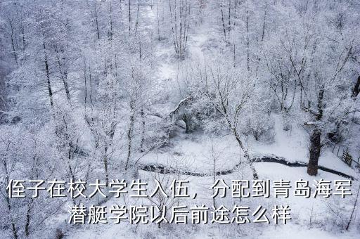 青島海軍潛艇學院考多少分,中國海軍潛艇學院怎么樣