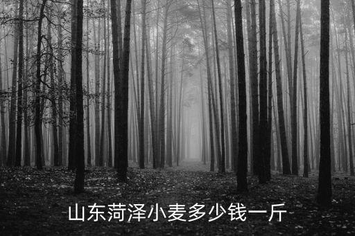 入駐山東小麥多少錢一斤,山東菏澤小麥多少錢一斤