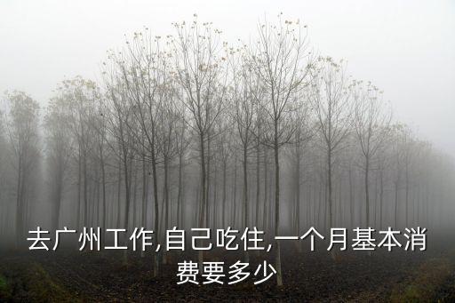 去廣州工作,自己吃住,一個月基本消費要多少
