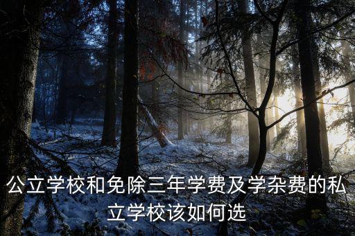 濟寧孔子學院的學費是多少,濟寧孔子國際學校怎么樣