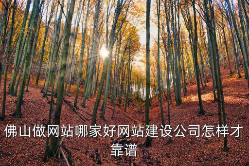 佛山有多少家做網站的公司,佛山做網站哪家好