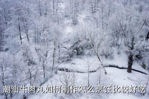 潮汕牛肉丸如何制作怎么烹飪比較好吃