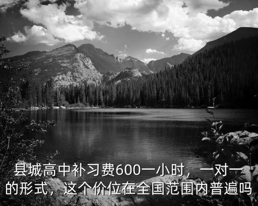 縣城高中補習費600一小時，一對一的形式，這個價位在全國范圍內普遍嗎