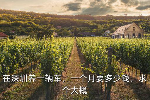 深圳錢一百電話多少錢一個月,一個月能存多少錢