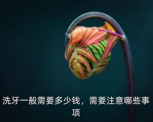 廣東牙科醫(yī)院洗牙多少錢,醫(yī)院洗牙一般多少錢
