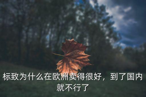 標致為什么在歐洲賣得很好，到了國內就不行了