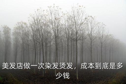 泰安一般染發加燙發多少錢,美發店做一次染發燙發