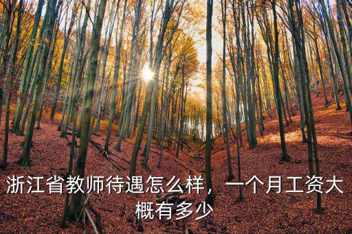 幼師工資一般多少浙江省,浙江省教師待遇怎么樣