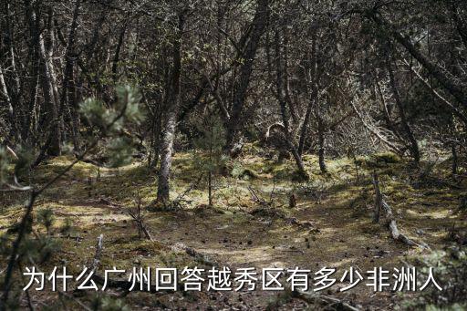 為什么廣州回答越秀區有多少非洲人