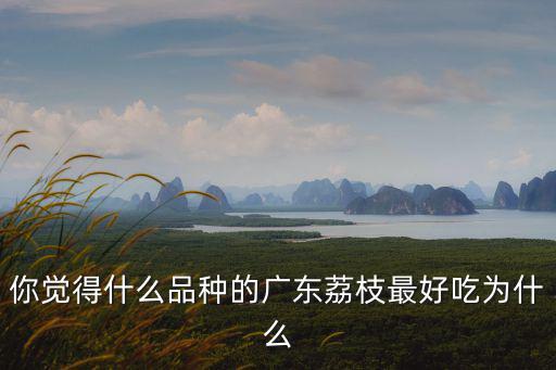 你覺得什么品種的廣東荔枝最好吃為什么