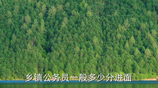 鄉鎮公務員一般多少分進面