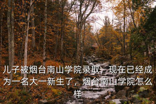 兒子被煙臺南山學(xué)院錄取，現(xiàn)在已經(jīng)成為一名大一新生了，煙臺南山學(xué)院怎么樣