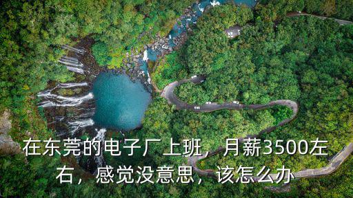 在東莞的電子廠上班，月薪3500左右，感覺沒意思，該怎么辦
