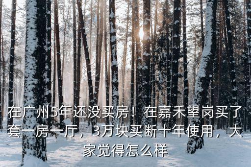 在廣州5年還沒買房！在嘉禾望崗買了套一房一廳，3萬塊買斷十年使用，大家覺得怎么樣