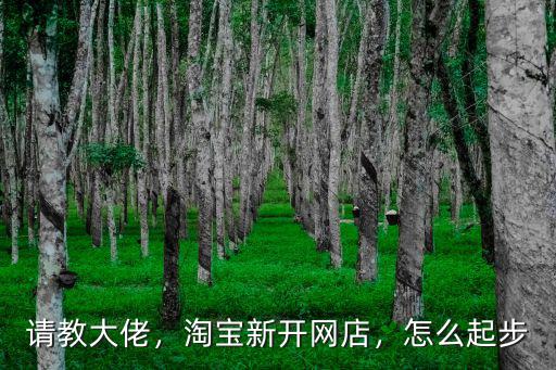 請教大佬，淘寶新開網店，怎么起步