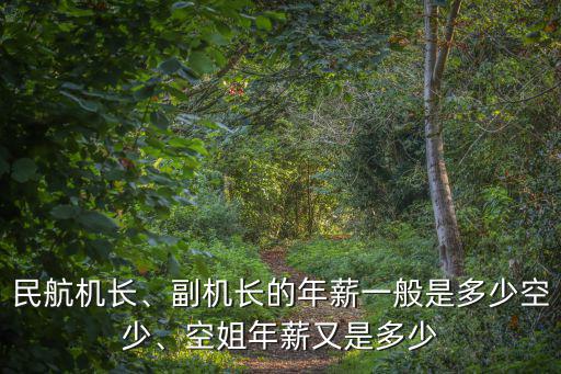民航機長、副機長的年薪一般是多少空少、空姐年薪又是多少