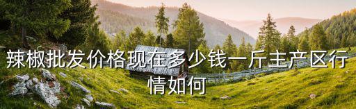辣椒批發價格現在多少錢一斤主產區行情如何
