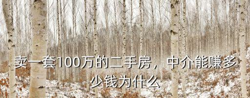 浙江買250萬房子中介賺多少,賣一套100萬的二手房